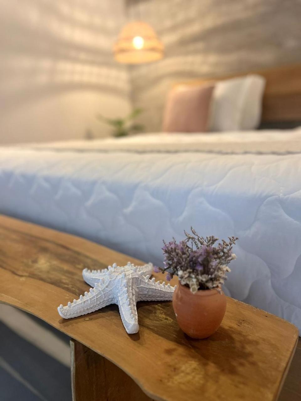 Yba Casa Hotel Ilha Do Mel Paranagua Ngoại thất bức ảnh
